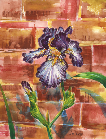 purple-iris-portrait_web.jpg