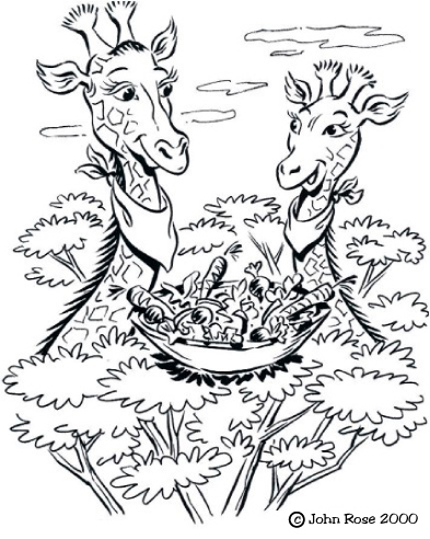 safari-giraffesalad_.jpg